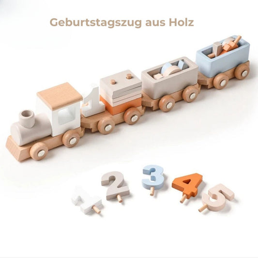 Holzspielzug - Montessori