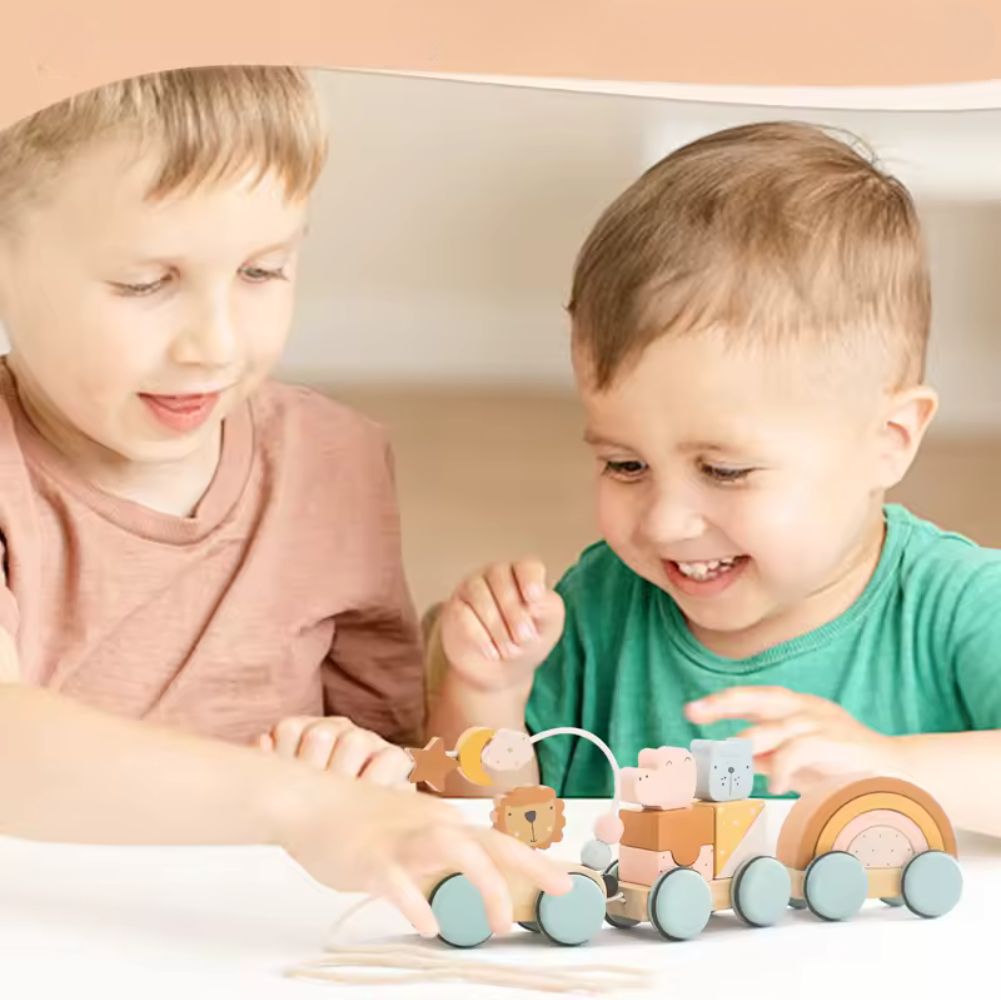 Holzspielzug - Montessori
