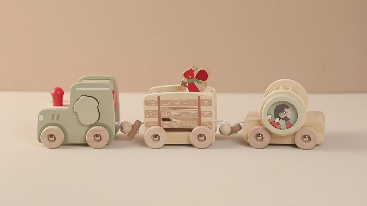 Holz Spielzug video